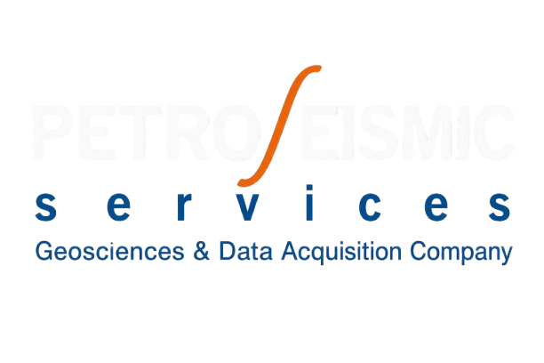 Logo PetroSeismic